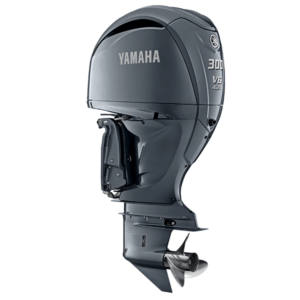 Yamaha F300