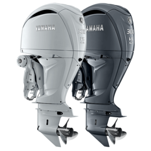 Yamaha F300 DES